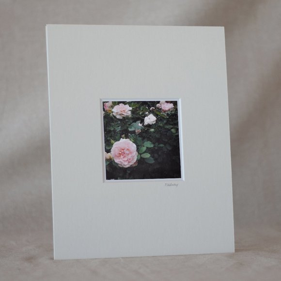 "Roses" Mini Photography Art Print - Picture 1 of 3